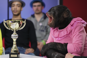 Capture d’écran 2025-12-21 à 05.22.15