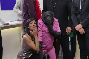 Capture d’écran 2025-12-21 à 05.22.29