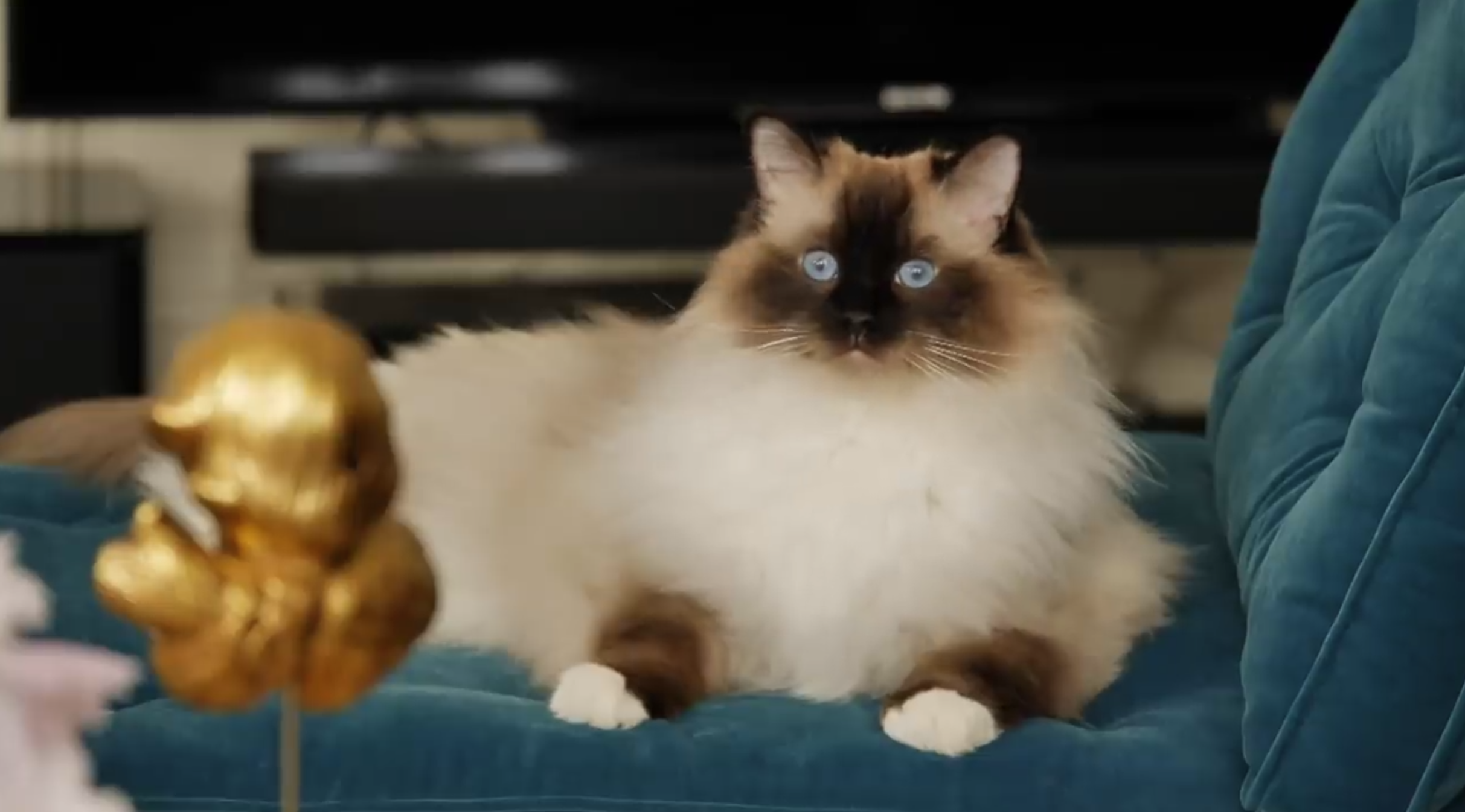 Episode  –   Petit Meunier